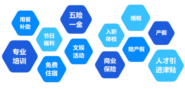 提供全面、系統、專業的培訓和廣闊的<br>職業發展空間和提升機會